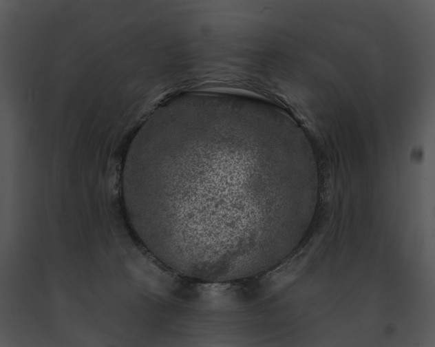 X0000091690273200708301546