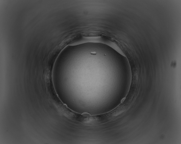 X0000091690274200708301546