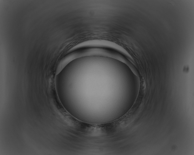 X0000091690276200708301546