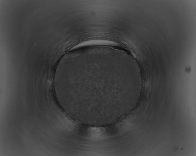 X0000091690277200708301546