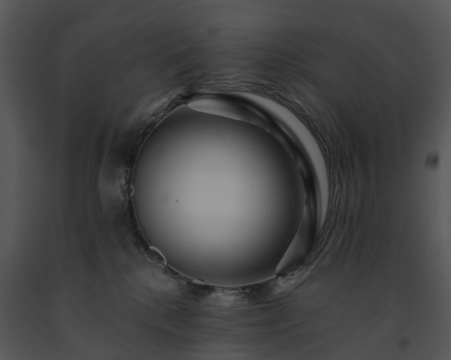 X0000091690280200708301546