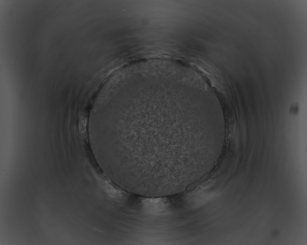X0000091690281200708301546