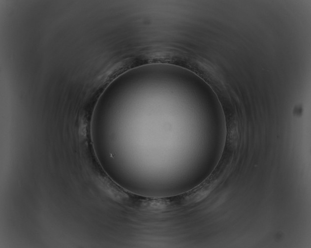 X0000091690282200708301546