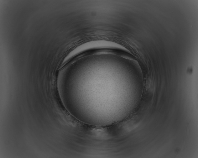 X0000091690283200708301546