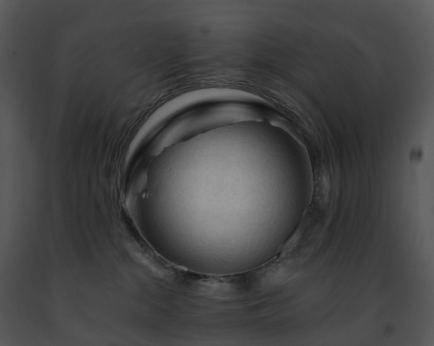 X0000091690284200708301546