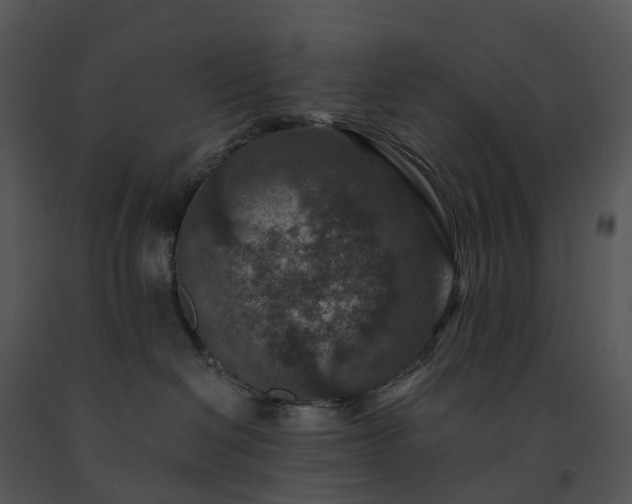 X0000091690286200708301546