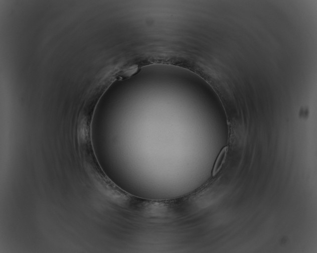X0000091690287200708301546