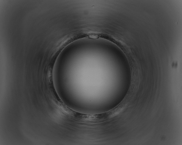 X0000091690288200708301546