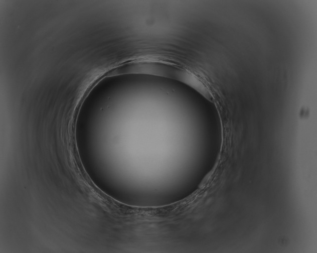 X0000091690289200708301546