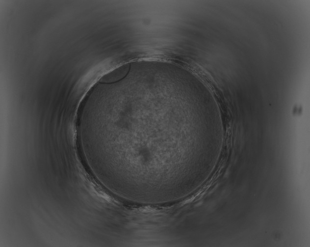 X0000091690290200708301546