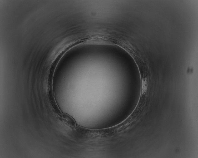 X0000091690291200708301546