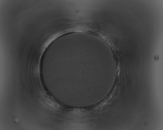 X0000091690292200708301546