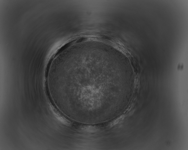 X0000091690293200708301546
