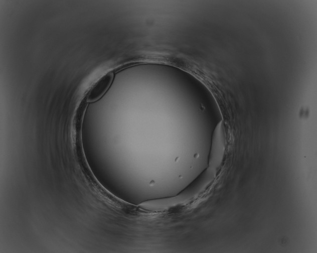 X0000091690294200708301546