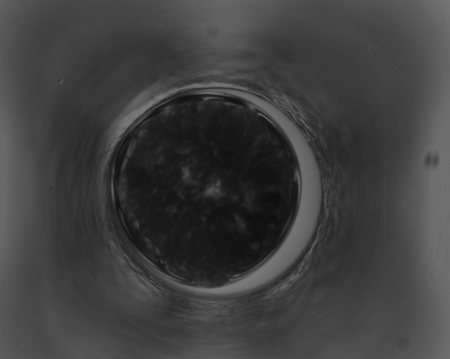 X0000091690295200708301546