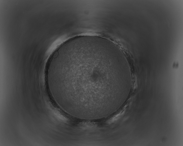 X0000091690296200708301545