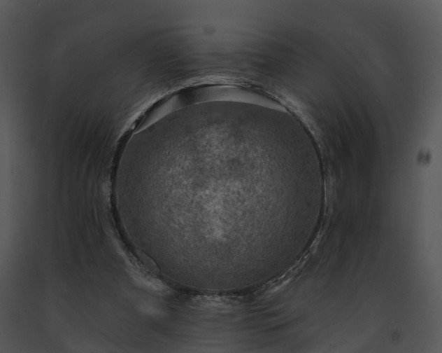 X0000091690297200708301545