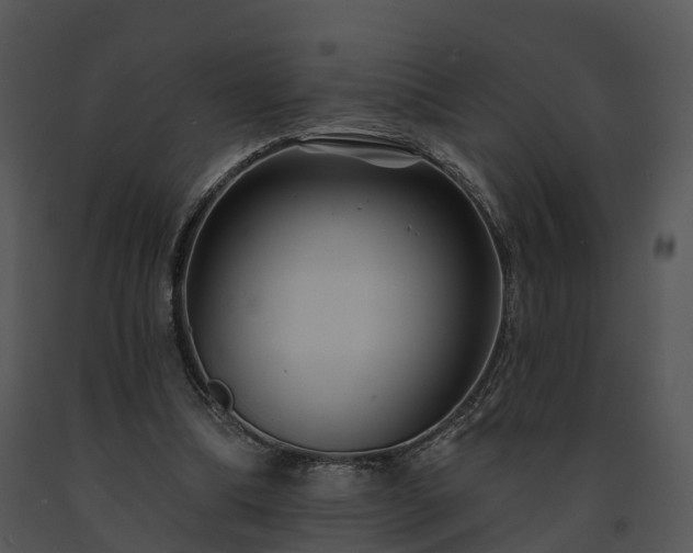 X0000091690298200708301545