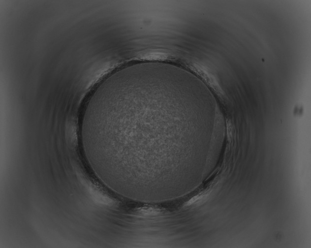 X0000091690300200708301545