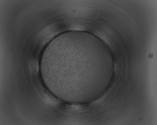 X0000091690302200708301545