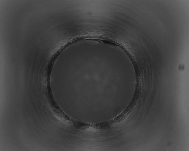X0000091690303200708301545