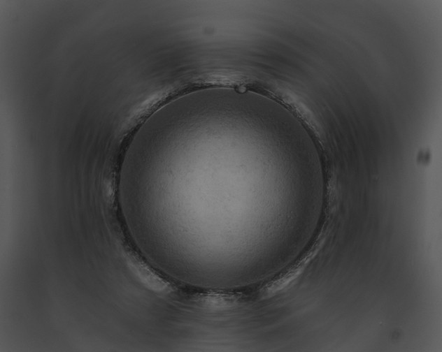 X0000091690305200708301545