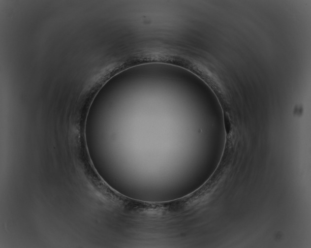X0000091690306200708301545