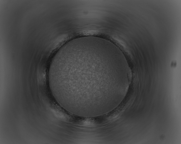 X0000091690308200708301545