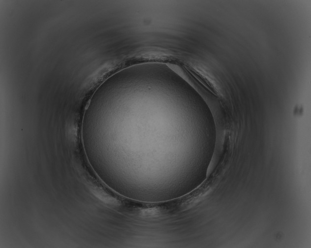 X0000091690309200708301545