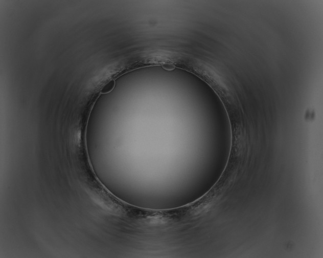 X0000091690310200708301545
