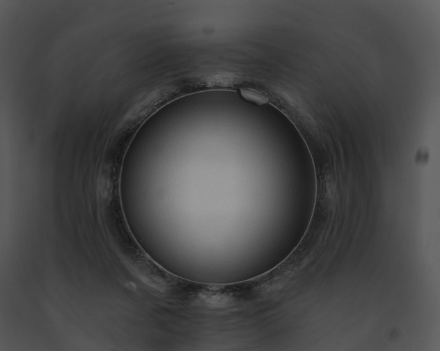 X0000091690311200708301545