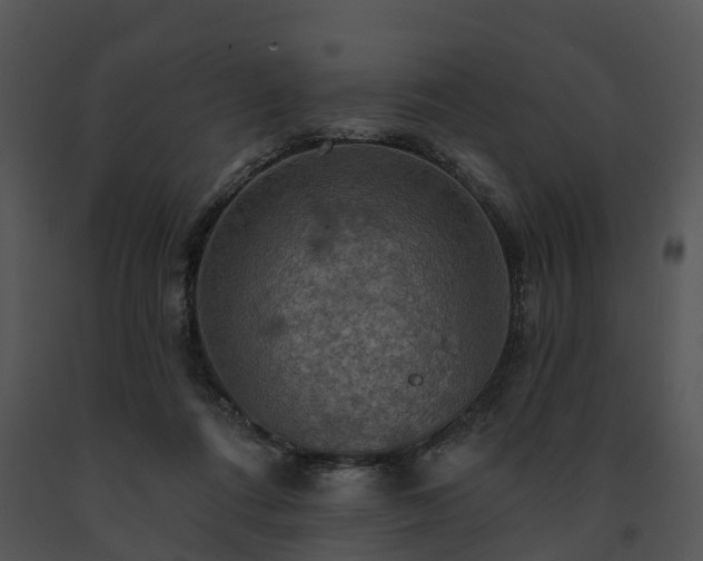 X0000091690312200708301545