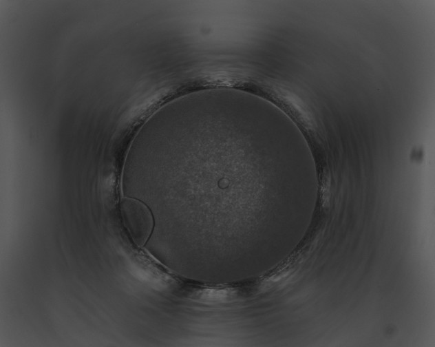 X0000091690314200708301545