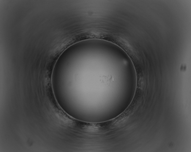 X0000091690318200708301545