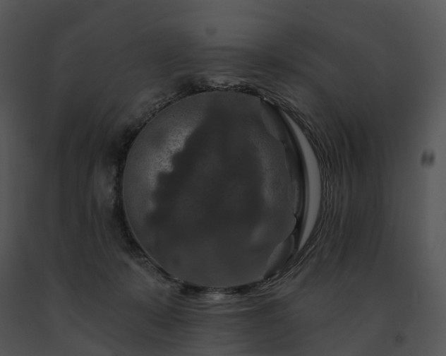 X0000091690319200708301545