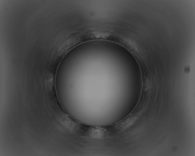 X0000091690321200708301545