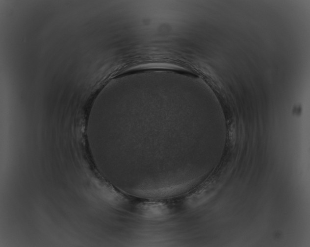 X0000091690322200708301545