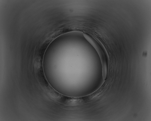 X0000091690323200708301545