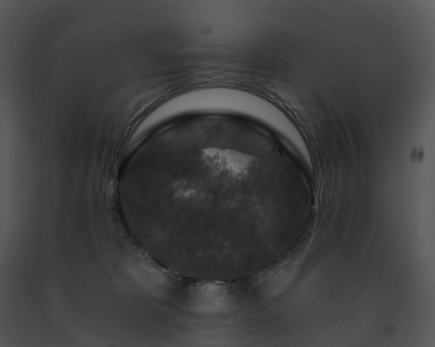 X0000091690325200708301545