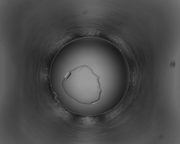 X0000091690326200708301545