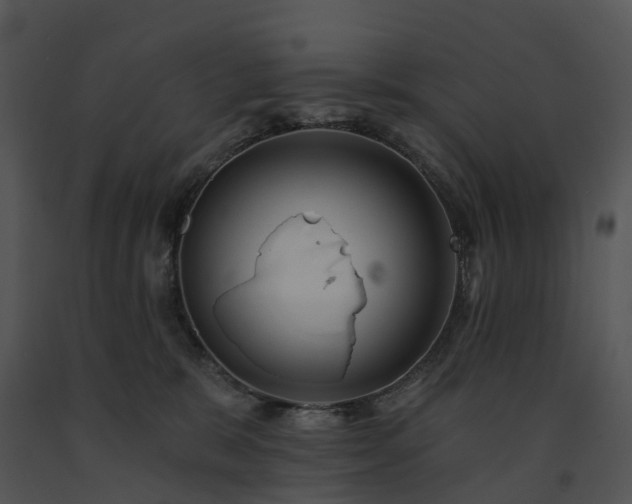 X0000091690327200708301545