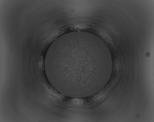 X0000091690328200708301545