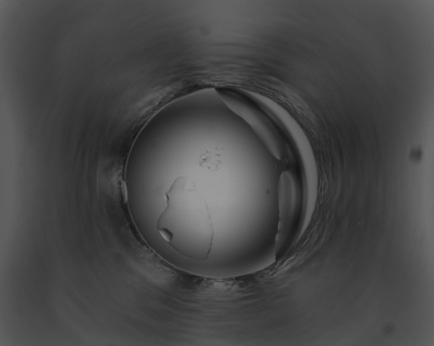 X0000091690329200708301545