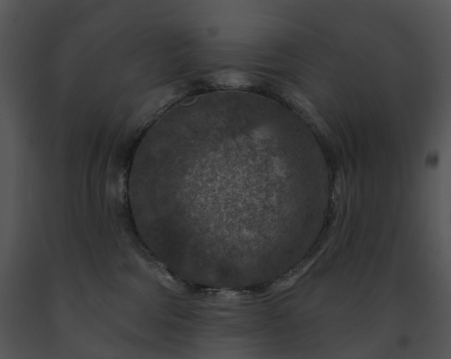 X0000091690330200708301545