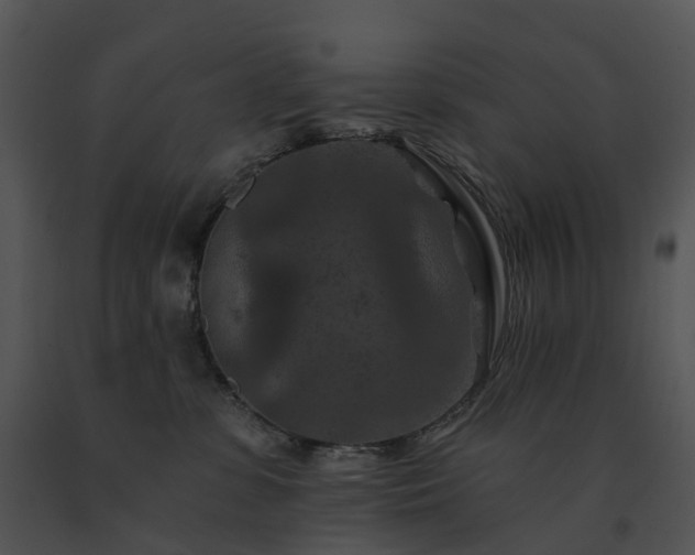 X0000091690331200708301545