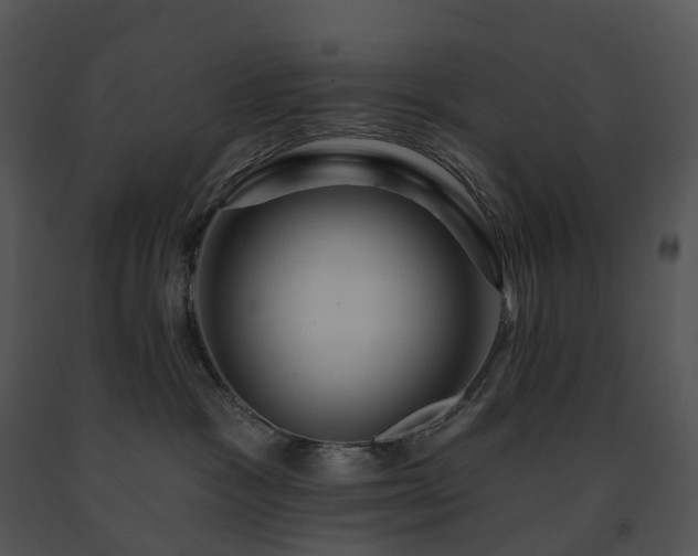 X0000091690333200708301545