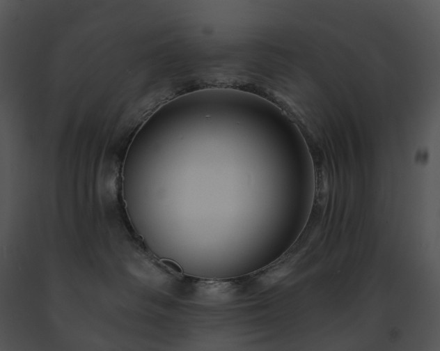 X0000091690334200708301545