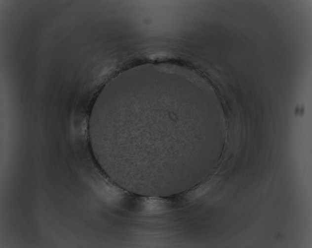 X0000091690336200708301545