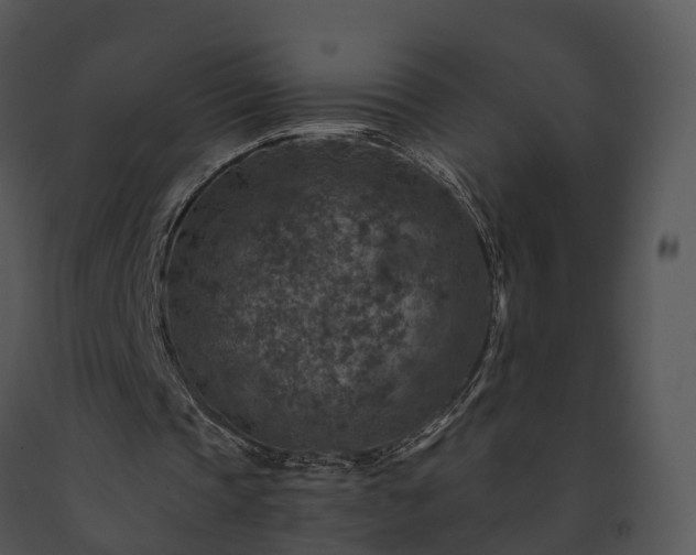X0000091690337200708301544