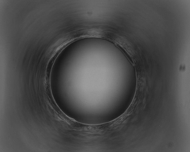 X0000091690338200708301544